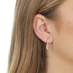 Argola cravejada lua